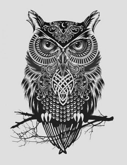 I like the detail in the feathers and would like it in the inside of my right biceps to finish off a full half sleeve -   24 vintage owl tattoo
 ideas