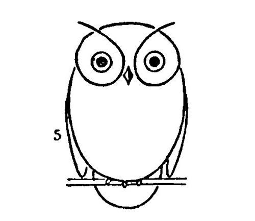 Draw an owl -   24 vintage owl tattoo
 ideas