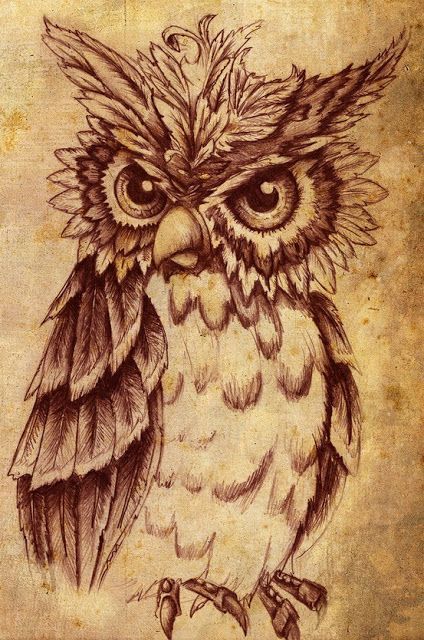 owl crafts | ... things vintage, thrift & craft: Idea Board for Much Wanted Owl Tattoo -   24 vintage owl tattoo
 ideas