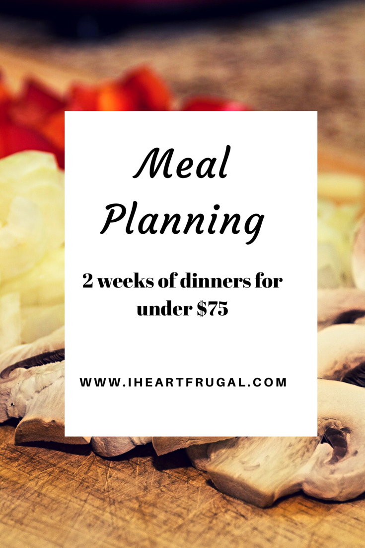 Budget-friendly Meal Planning -   25 2 week families
 ideas