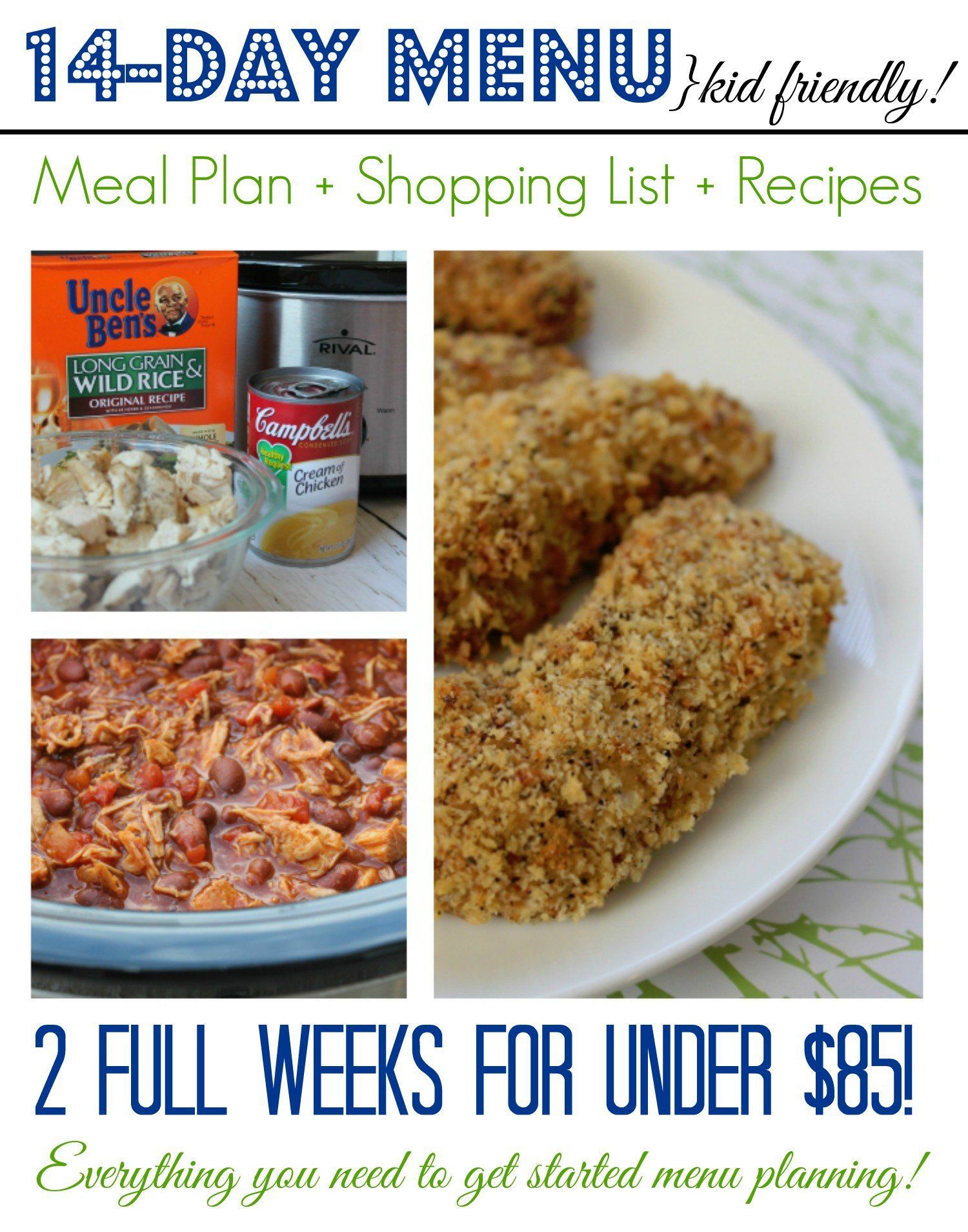I am SUPER Excited to share this new 2 Week Meal Plan with you because I have gotten so many questions about meal planning and How to Make a Meal Plan. This is something I'm passionate about because I really believe Planning your meals is one of the Quickest ways to save money! It doesn't matter what your budget is, if you have a plan going into the store then sticking to your shopping list is so much easier and you'll avoid all those extra impulse purchases. -   25 2 week families
 ideas