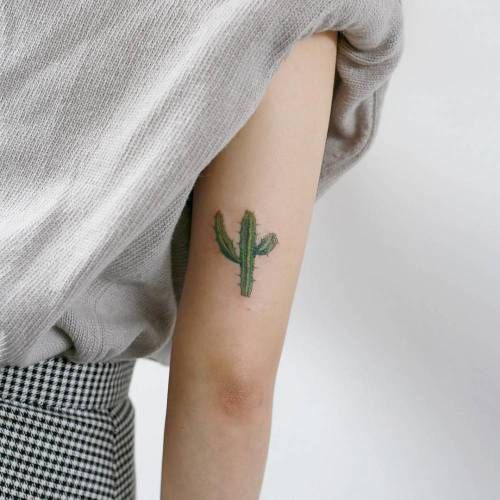 Cactus tattoo on the back of the right arm. Tattoo artist: Doy -   20 tattoo arm back
 ideas