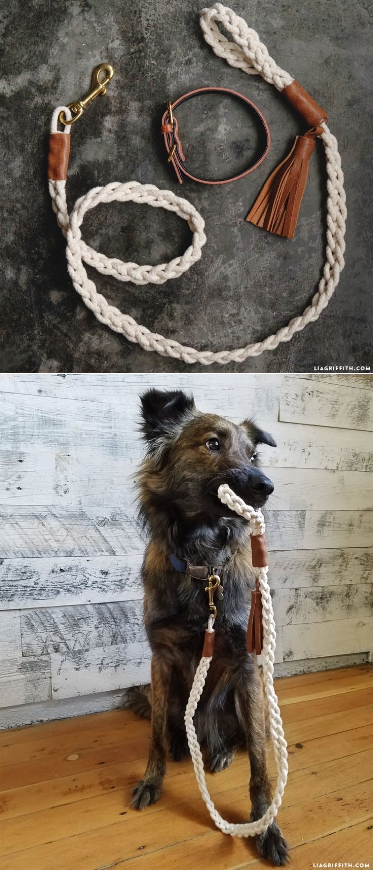 DIY Dog Leash Tutorial with Braided Rope -   21 diy dog leash
 ideas