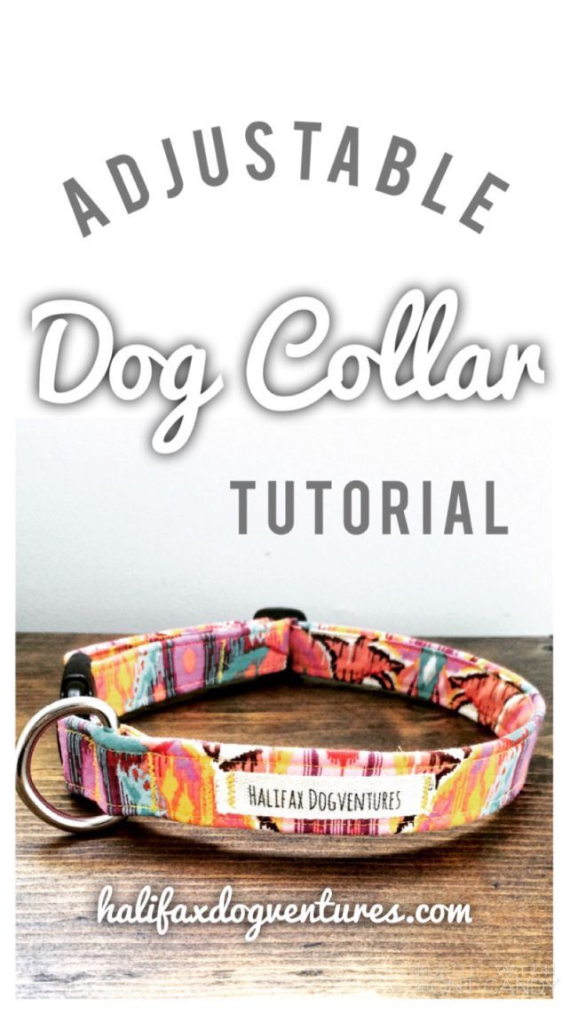 Learn how to make this super cute, super easy adjustable dog collar. DIY adjustable fabric dog collar tutorial: halifaxdogventures.com -   21 diy dog leash
 ideas