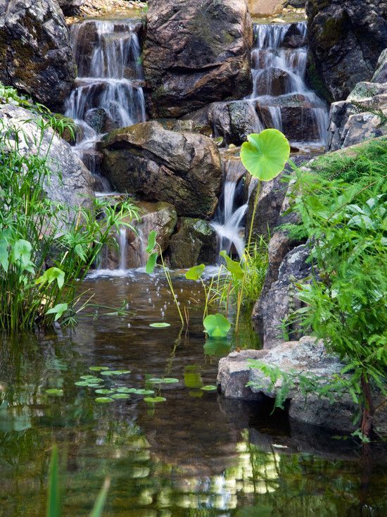 Spaces Home Waterfalls Design, Pictures -   21 garden pond pictures
 ideas