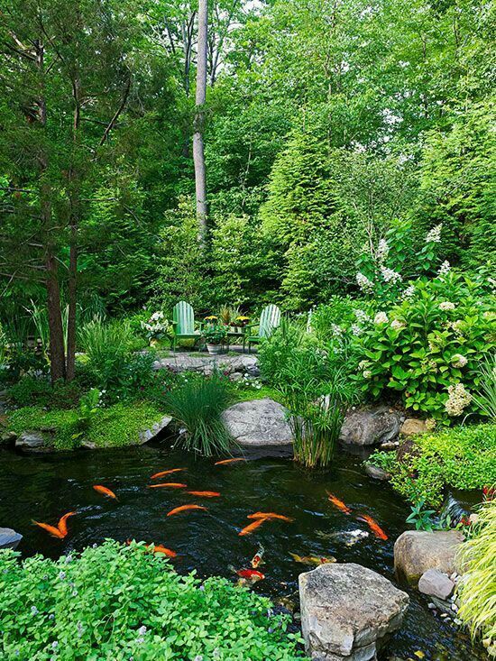Our pond idea. -   21 garden pond pictures
 ideas