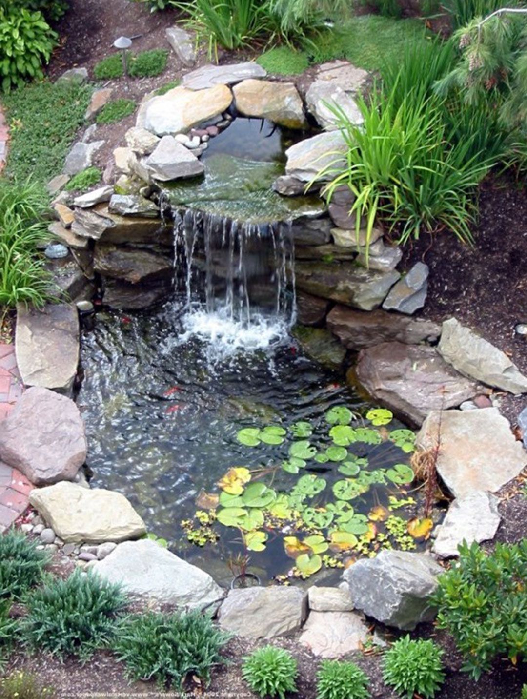 COOL Backyard Pond Design Picture Image -   21 garden pond pictures
 ideas