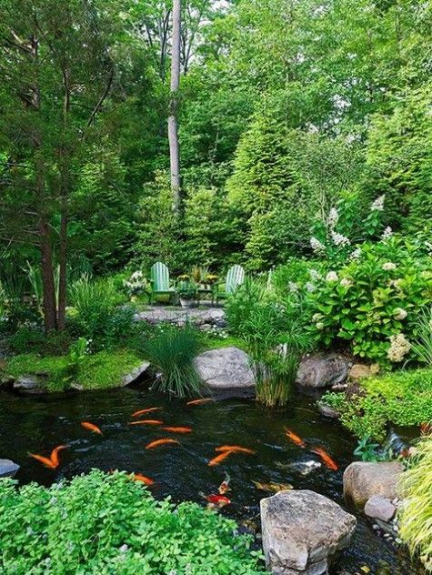 61 Dreamy Backyard Pond Designs | ComfyDwelling.com -   21 garden pond pictures
 ideas