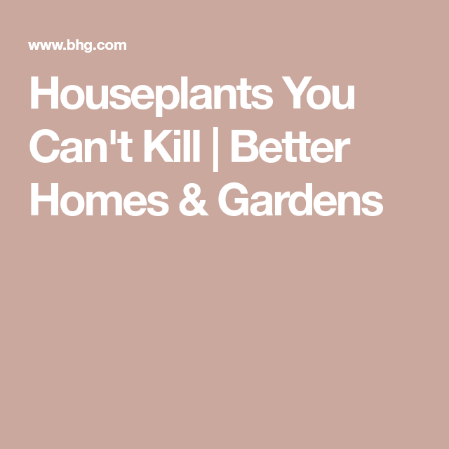 Houseplants You Can't Kill -   21 home garden houseplant
 ideas