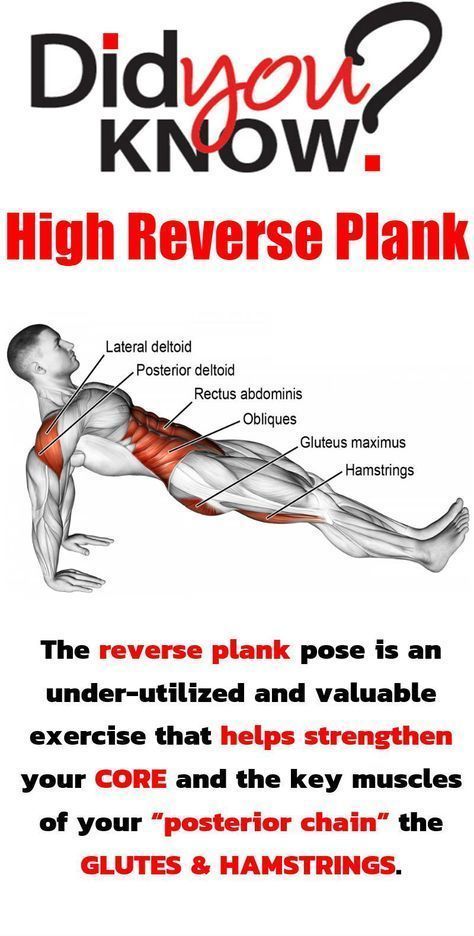 Reverse Planks That Help Strengthen The Core And Lower Body -   22 fitness body abs
 ideas
