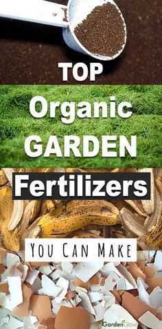 Top Organic Garden Fertilizers You Can Make -   22 organic garden tips
 ideas