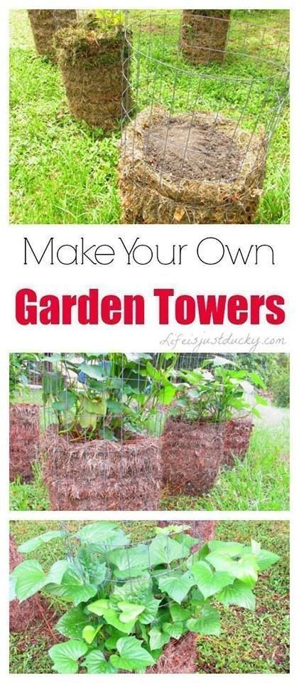 How to make a potato barrel using chicken wire -   22 organic garden tips
 ideas