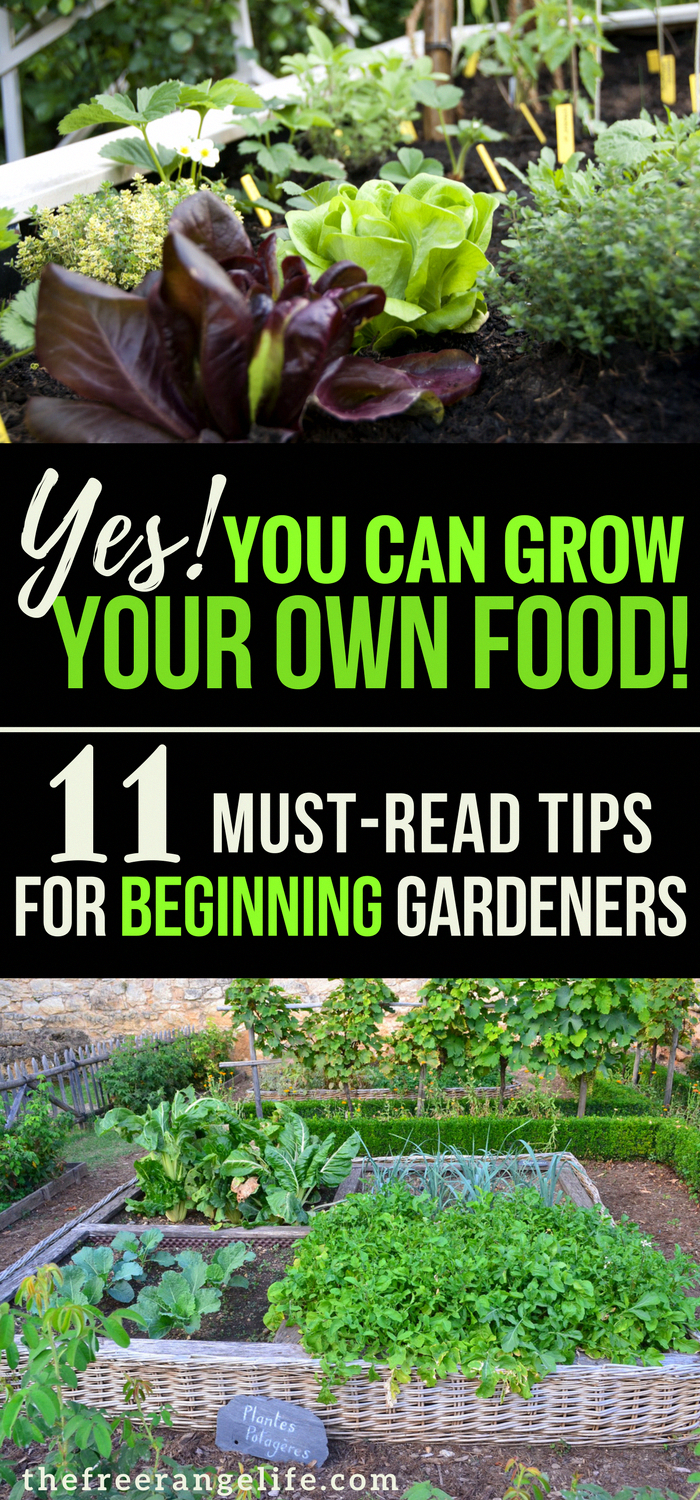 22 organic garden tips
 ideas