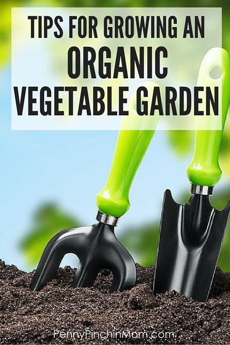 How to Grow an Organic Vegetable Garden -   22 organic garden tips
 ideas