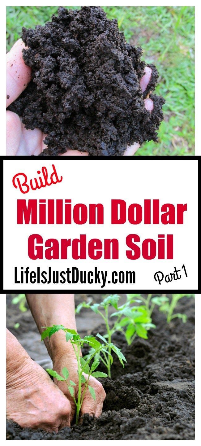 Build Million Dollar Garden Soil -   22 organic garden tips
 ideas
