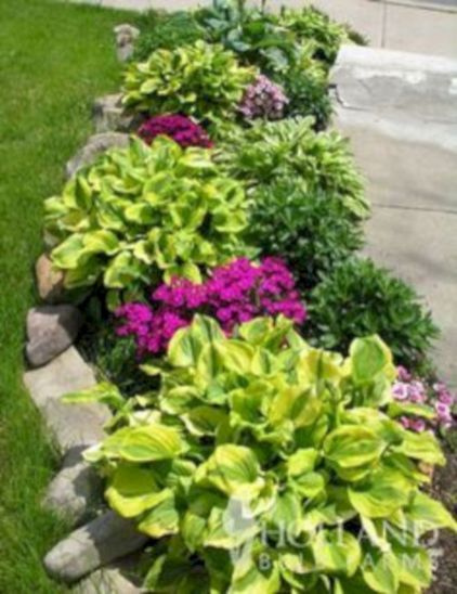 Easy, Simple And Cheap Landscape Ideas For Front Yard 26 -   23 easy front garden
 ideas