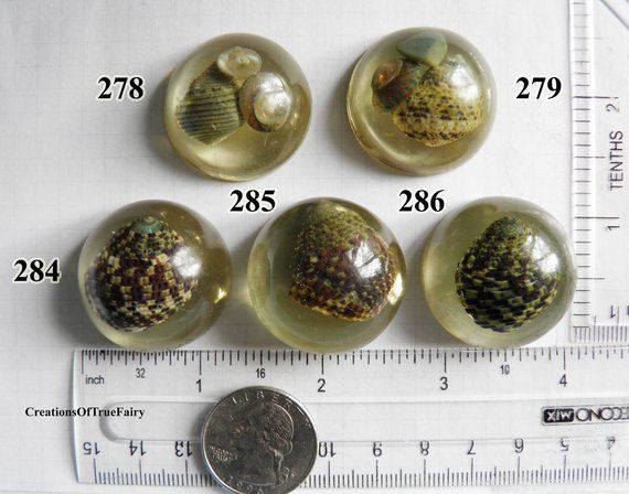 Green seashells cabochons Jewelry making supplies Sea beach jewelry findings supplies Sea shell cabs Kids craft supplies homemade art A9F -   24 homemade crafts supplies
 ideas