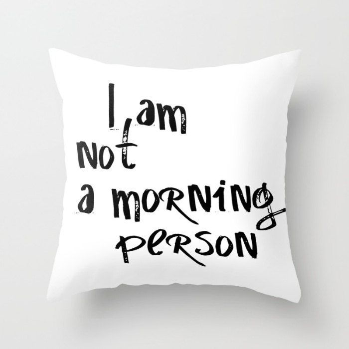 Funny Pillow Cases, Funny Pillow, Throw Pillow Cover, Pillows With Words, Teen… -   25 cute room decor
 ideas