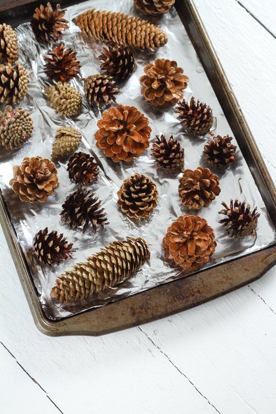 How To Make DIY Scented Pinecones -   25 diy house scents
 ideas