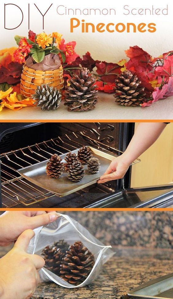 How to Make Cinnamon-Scented Pinecones (Two Easy Tutorials -   25 diy house scents
 ideas