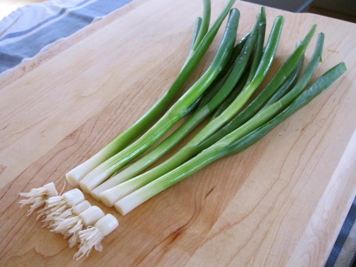 DIY An Endless Supply Of Fresh Green Onions -   How To Grow Green Onions