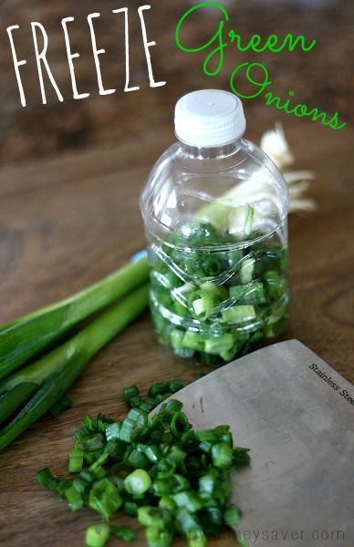 Thrifty Tip: Freezing Green Onions in Plastic Bottles -   How To Grow Green Onions