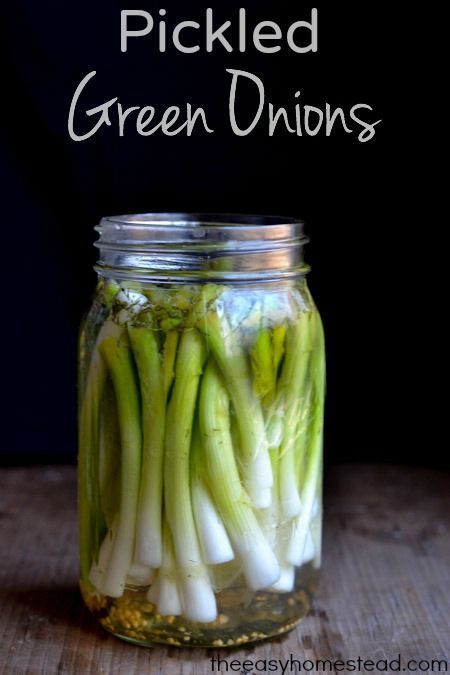 Pickled Green Onions -   How To Grow Green Onions