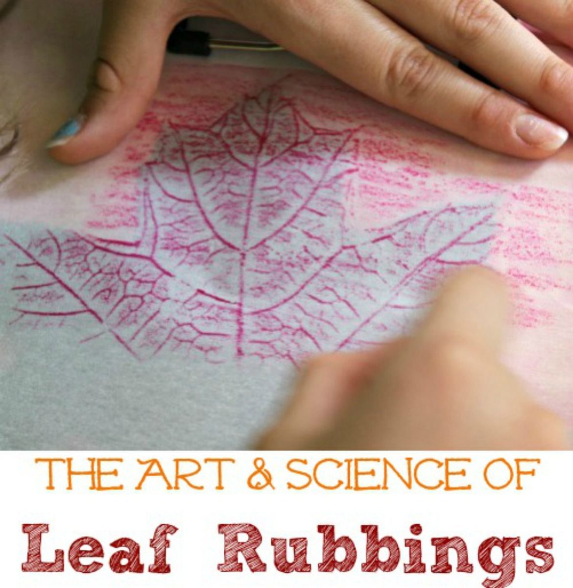 Leaf Rubbing Art & Science Activity -   25 young kids crafts
 ideas