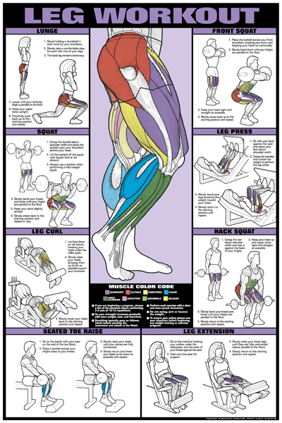 Leg Workout Fitness Chart (Co-Ed) -   20 mens fitness tips
 ideas
