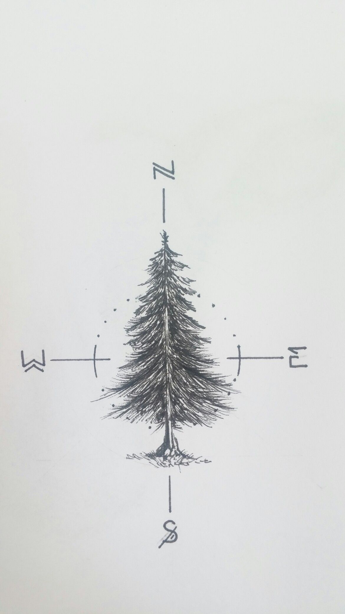 Working on a fir tree tattoo for myself _____________________________ #fir… -   21 compass cross tattoo
 ideas