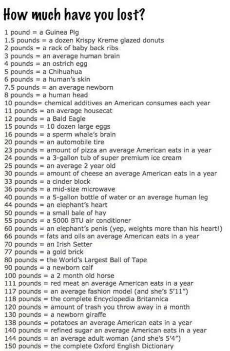 Weight loss chart. funniest thing ever -   23 fitness tracker chart
 ideas