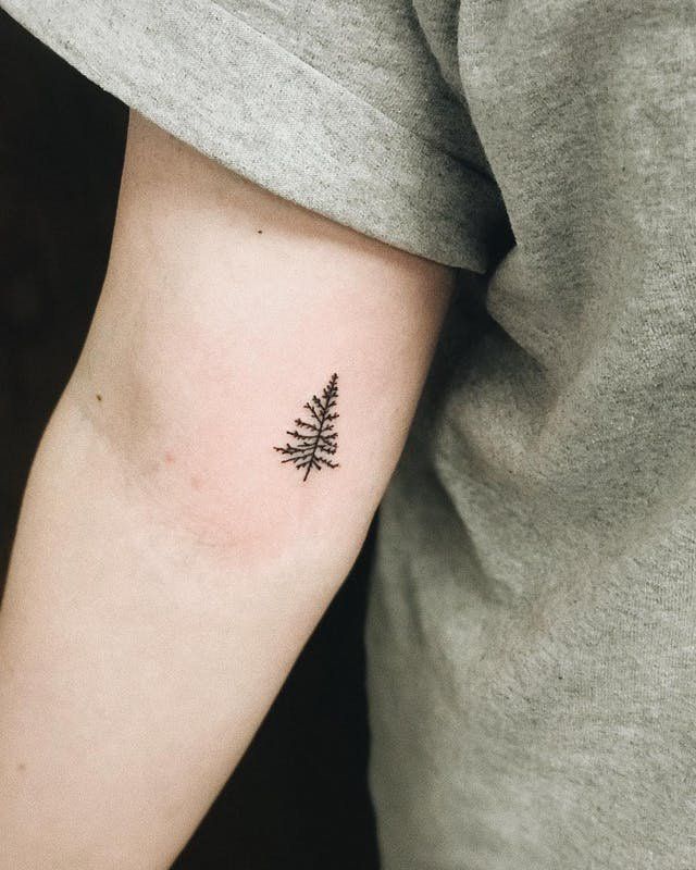 Keep things simple with these classy tiny tree tattoo. -   23 tiny tattoo tree
 ideas
