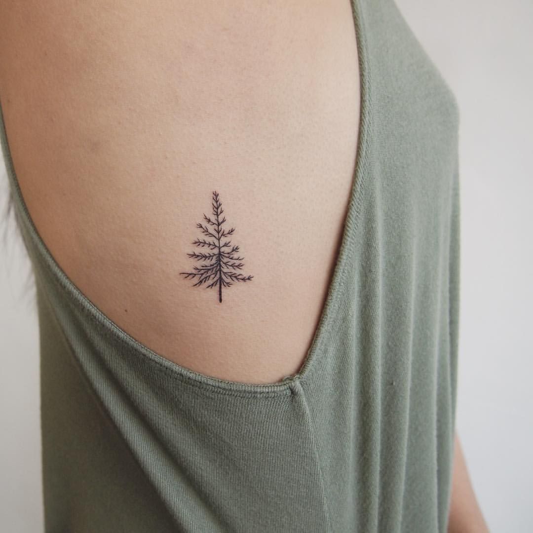 I love the idea of an evergreen tattoo as a symbol of something that remains strong throughout every season, it could represent faithfulness. -   23 tiny tattoo tree
 ideas