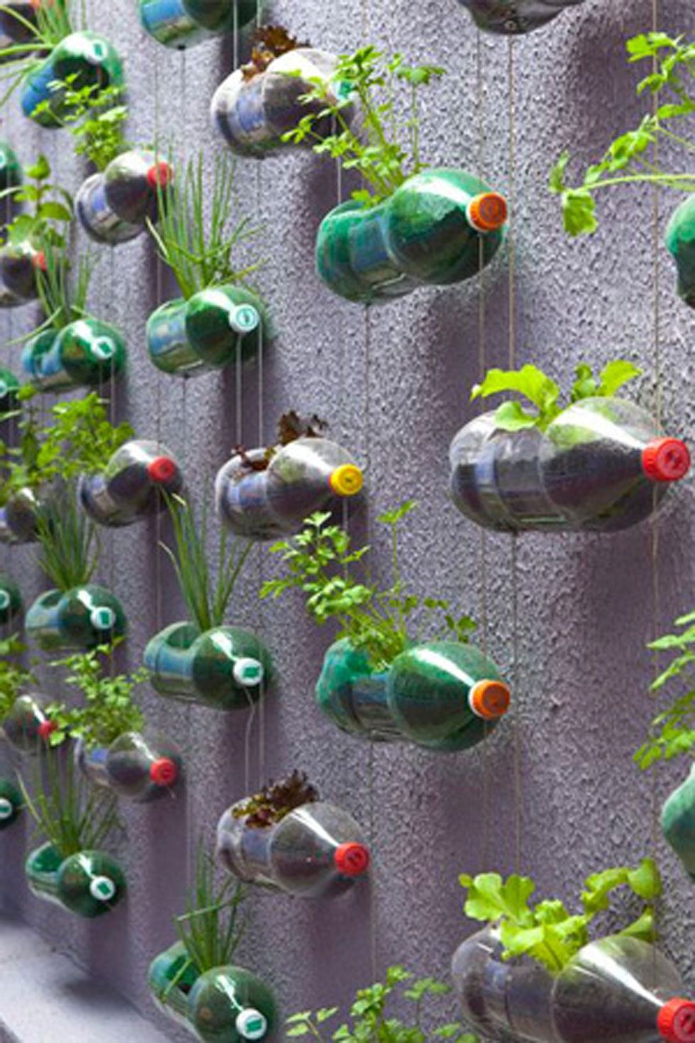 16 Genius Ways to Upcycle Trash in Your Garden -   23 urban vertical garden
 ideas
