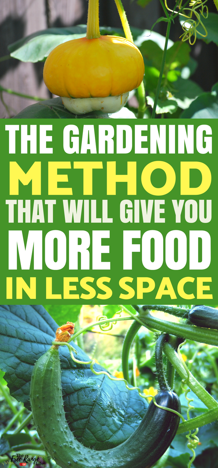 Vertical Gardening: How to Grow Up in Your Garden -   23 urban vertical garden
 ideas