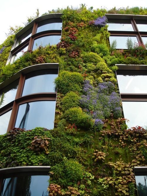 Untitled -   23 urban vertical garden
 ideas