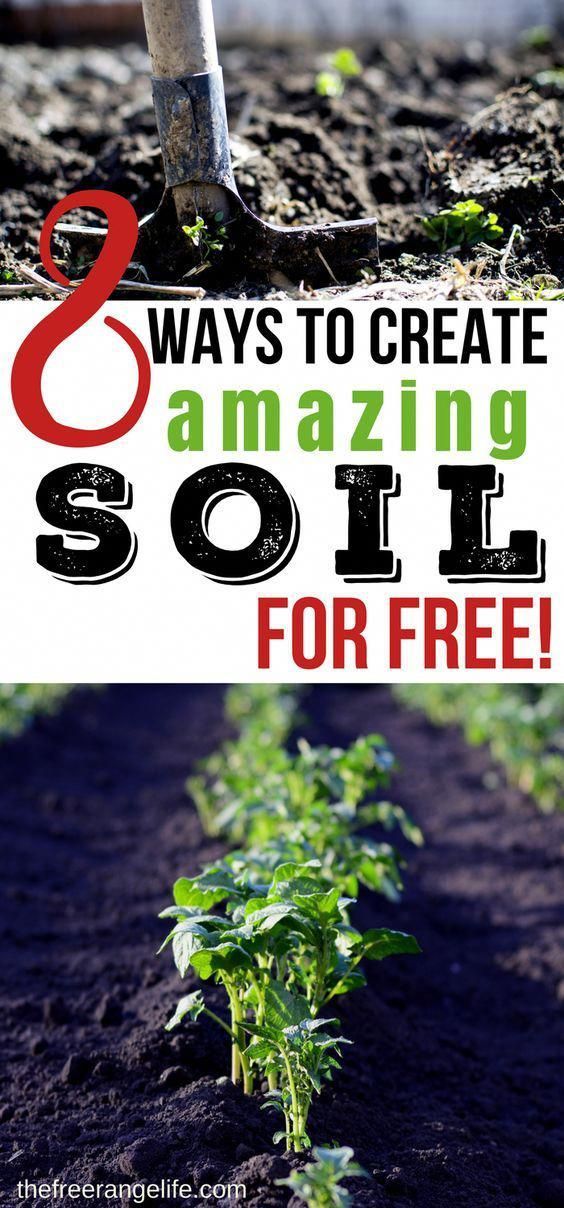 8 Simple Ways to Improve Your Garden Soil for Free -   24 secret garden plans
 ideas