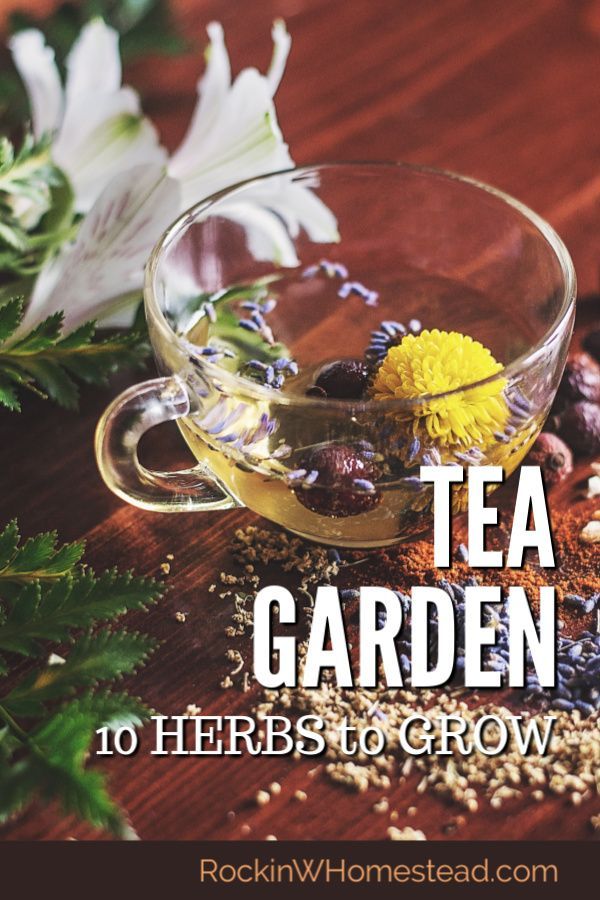 10 Herbs to Grow for a Tea Garden -   24 secret garden plans
 ideas