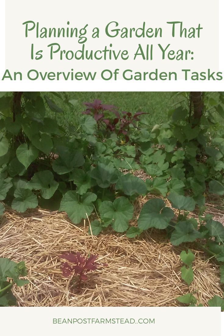 Planning a Garden That Is Productive All Year: An Overview Of Garden Tasks -   24 secret garden plans
 ideas