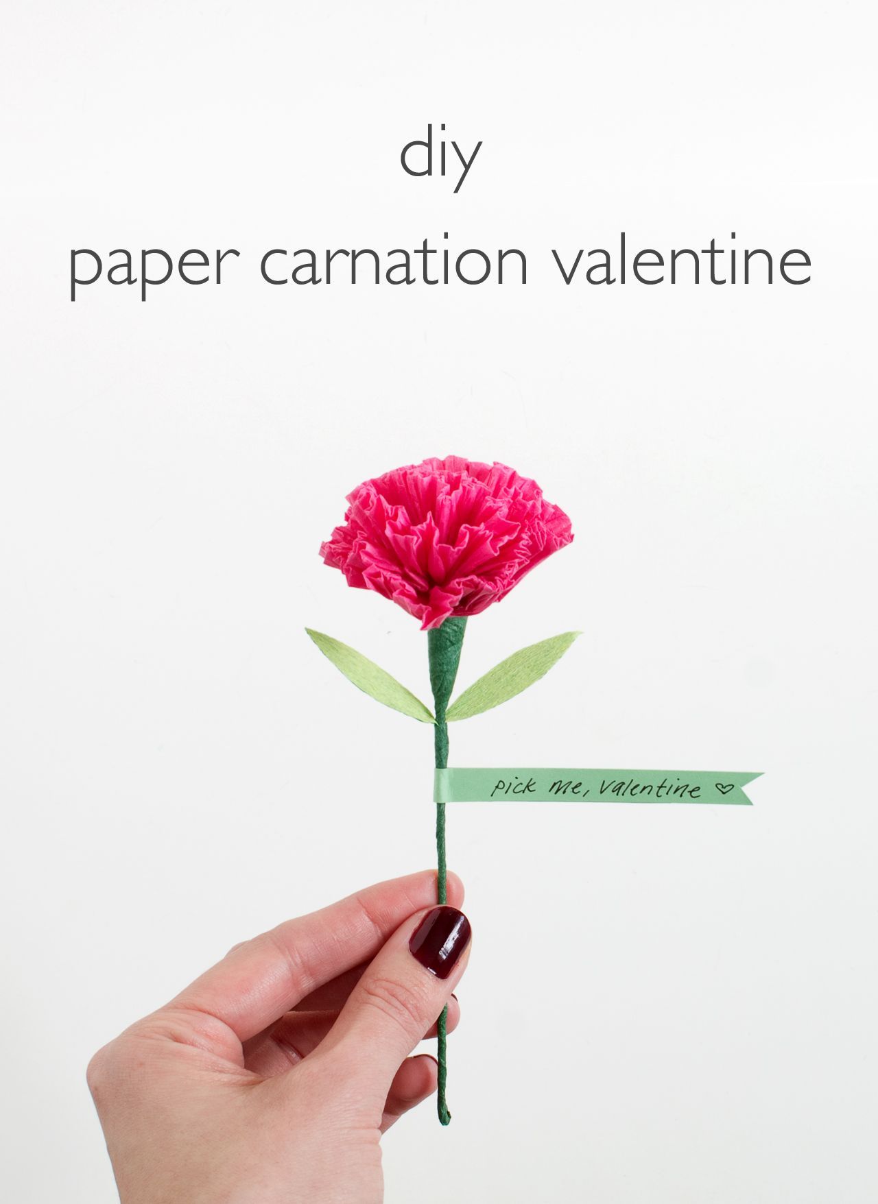 DIY Tissue Paper Carnation Valentine I want to try this! -   24 valentine paper crafts
 ideas
