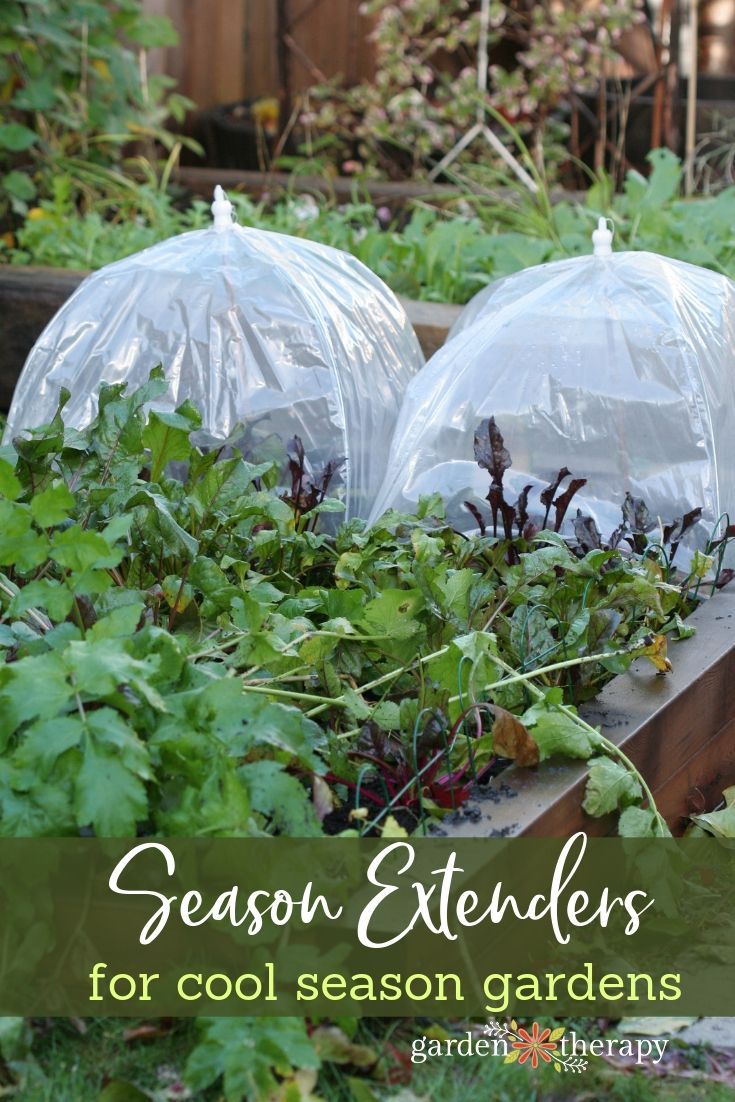 Use Season Extenders for a Late Harvest -   24 winter garden fashion
 ideas