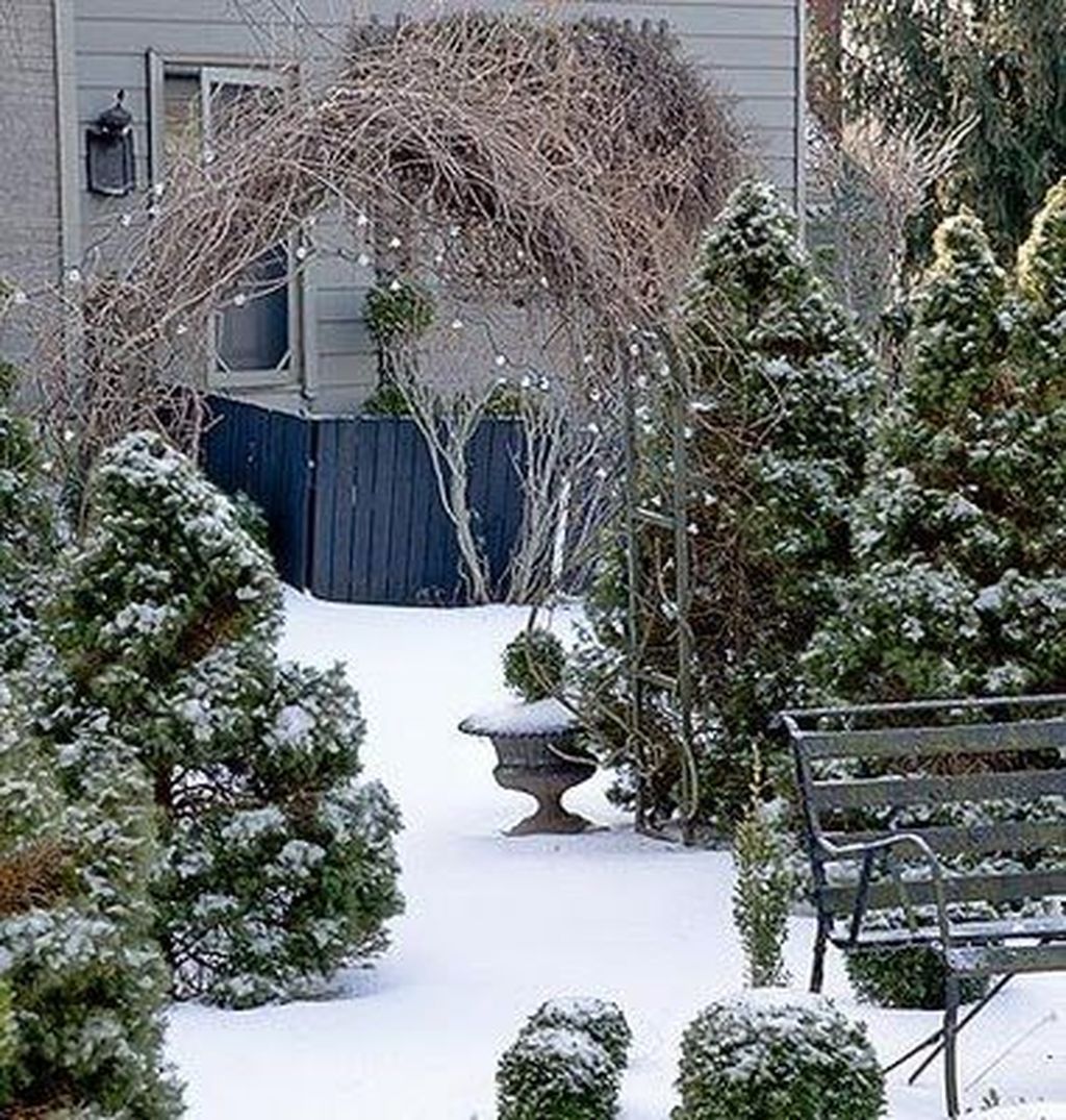 50 Amazing Winter Garden Landscape -   24 winter garden fashion
 ideas
