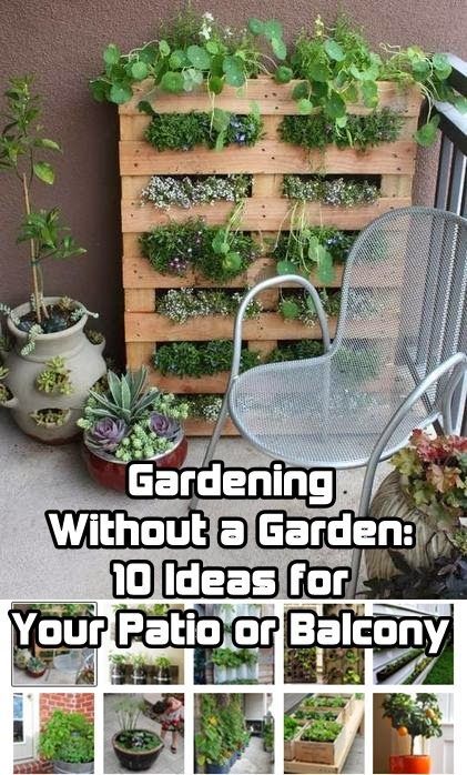 Gardening Without a Garden: 10 Ideas for Your Patio or Balcony -   25 outdoor garden patio
 ideas