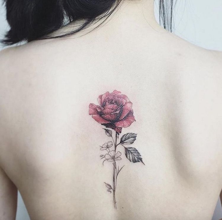 9 single rose tattoo
 ideas