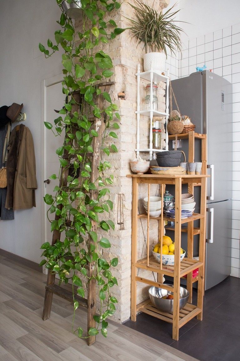 40+ FINEST TIPS TO DECORATE PLANTS HANGING ON YOUR WALL -   15 boho decor kitchen
 ideas