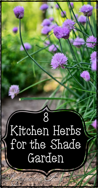8 Culinary Herbs for the Shade Garden -   21 shade garden herbs
 ideas