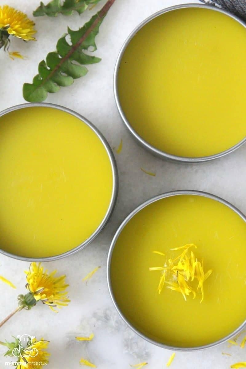 How To Make Dandelion Salve (Healing Balm Recipe) -   22 anti inflammatory salve
 ideas