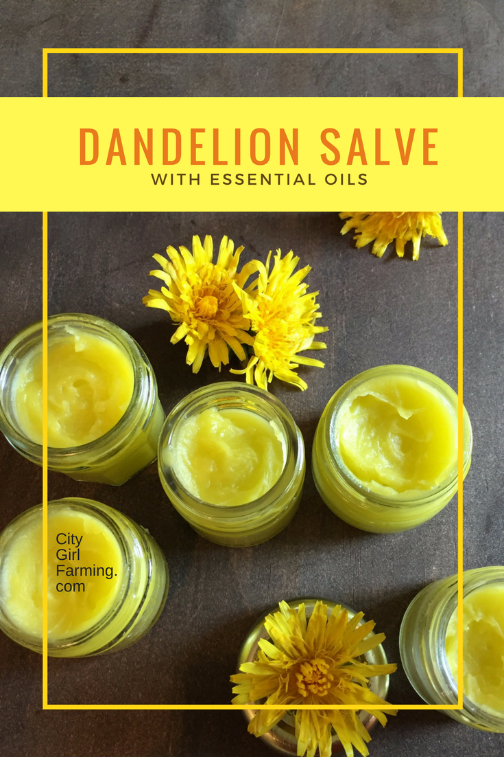 How to Make Dandelion Salve (with Essential Oils -   22 anti inflammatory salve
 ideas