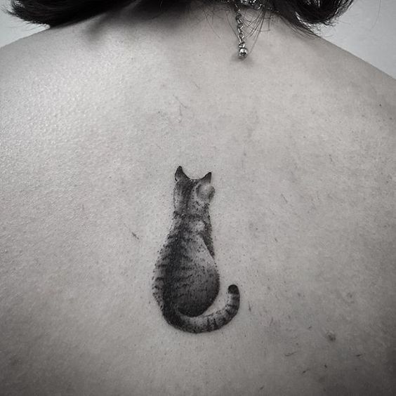 katzen tattoo klein -   22 cat tattoo back
 ideas
