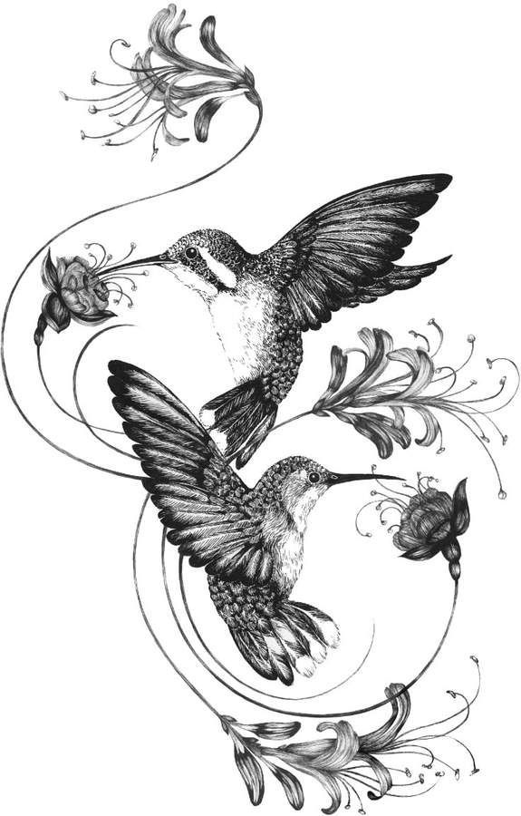 Emily Carter - Hummingbirds & Honeysuckle Gicl?e Print A3 -   22 cat tattoo back
 ideas